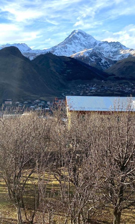 Hotel Golden Star Kazbegi Esterno foto